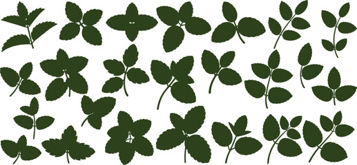 collection of green mint leaf silhouette icons in various shapes and sizes. includes different foliage styles, from simple leaves to clusters and branches, vector illustration © shahzad