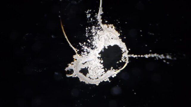 Microscopic time lapse of chemical reaction, acid dissolving limestone calcium carbonate close up under microscope