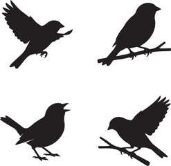 Fototapeta premium Black Bird Silhouettes in Flight and Perched Poses