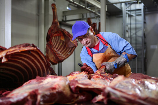 Meat processing plant worker cuts horse carcass into portions. Preparation of meat for further processing. Hard work in production