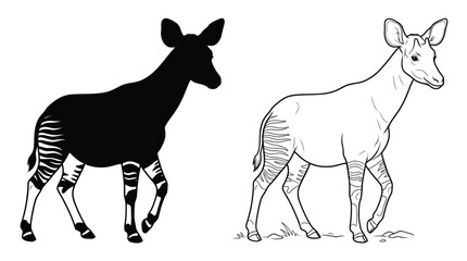 Fototapeta premium Okapis Monochrome Set with Outline and Silhouette Animal Designs in a Natural Walking Pose