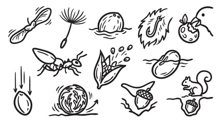 Fototapeta premium Various images illustrating seeds plant growth and dispersal mechanisms.
