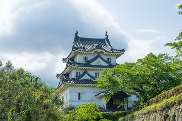 Naklejka premium Uwajima Castle, Ehime, a famous landmark
