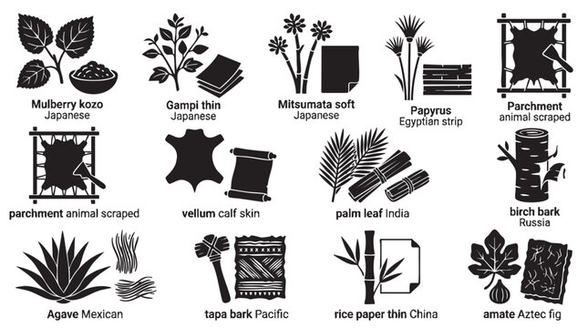 Set of ancient paper writing materials and natural fiber sources.