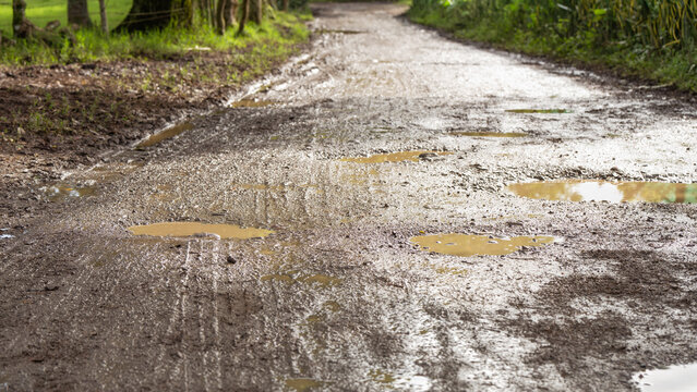 unpaved rural road with rain puddles