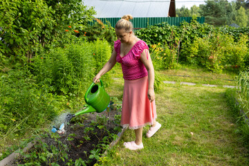 a woman in a pink skirt waters a vegetable garden with a green watering can © Светлана Высокос