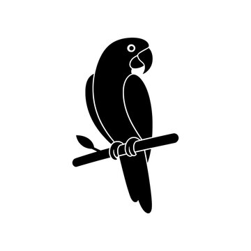Masterpiece Parrot icon featuring a refined tropical parrot with elegant proportions and clean silhouette detailing. Premium black and white vector emblem ideal for wildlife collections, tropical bran