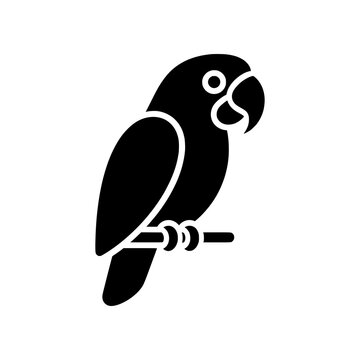 Masterpiece Parrot icon featuring a refined tropical parrot with elegant proportions and clean silhouette detailing. Premium black and white vector emblem ideal for wildlife collections, tropical bran