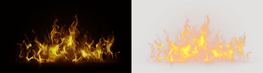 Fototapeta premium Flames rising and dancing in an isolated space with a transparent background