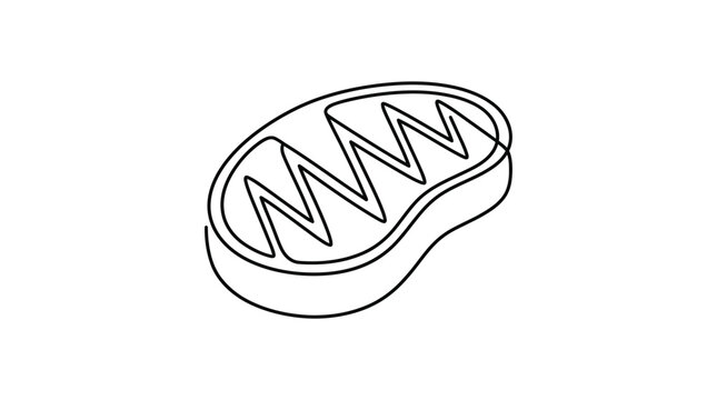 Minimalist Steak Line Drawing: Raw Meat Icon Isolated on White Background