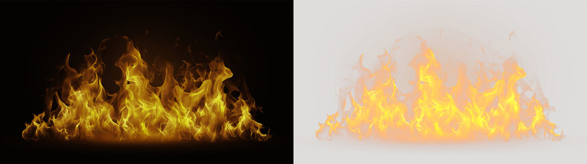 Fototapeta premium Flames rising from a fire on a transparent background during a night scene