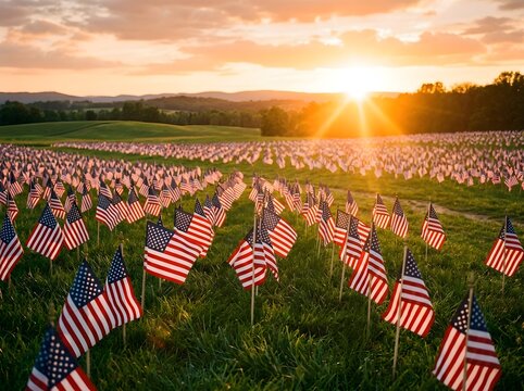 Memorial day field of small american flags at sunset in a green meadow