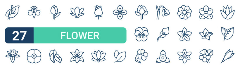 Set of 27 outline Flower icons for modern UI, landing pages and digital services. Editable stroke collection with anthurium, daffodil, alstroemeria, lily, pansy and gladiolus. © Elijah