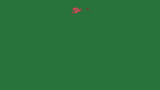 White border and fish is swimming in the water screen text ` ' picture of snake an image bird map new zealand isolated on green screen background