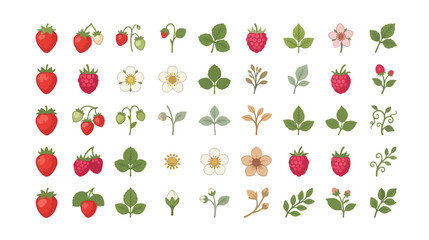 Flat strawberry botanical vector set, 45 garden berry icons with leaves and flowers, red fruit and green foliage elements for organic food branding © noor