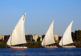Naklejka premium ASWAN EGYPT: Felucca sails on the Nile river near Aswan, Egypt. The feluccas seen today were invented in 3350 BC