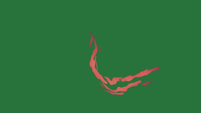 White border and screen man diving red fire on bird it picture flying over heart isolated on green screen background