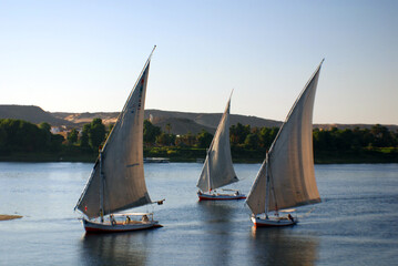 Fototapeta premium ASWAN EGYPT: Felucca sails on the Nile river near Aswan, Egypt. The feluccas seen today were invented in 3350 BC