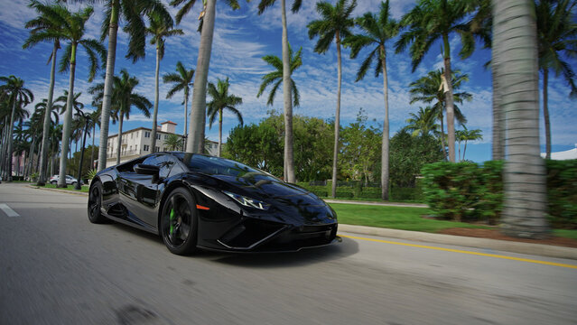 Black sports car speeding past palm trees on a sunny day