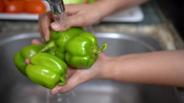 Fresh Green Bell Peppers Being Washed Washing Bell Peppers for Healthy Meal Preparation