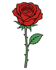 Obraz premium flat illustration of long stem rose in full bloom with leaves
