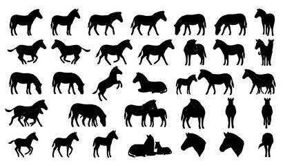 Horse Silhouette Collection Featuring Running Standing Grazing Jumping and Resting Equine Pose Vector Set © Boloram