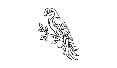Perched Parrot on Branch Line Art Illustration with Tropical Bird and Botanical Nature Elements © Boloram
