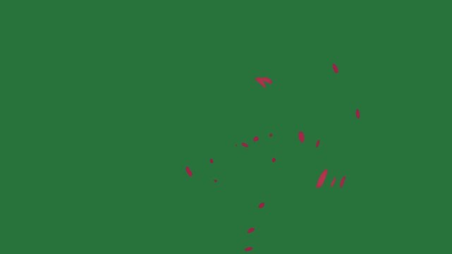 White border and screen red dots flower fire clock isolated on green screen background