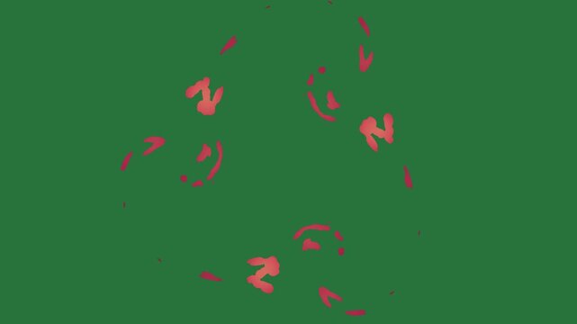 White border and screen picture of dog red heart on fire bunch flowers it isolated on green screen background