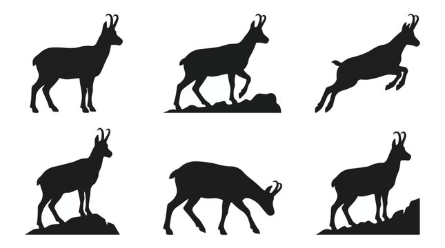 Chamois silhouette set against white background
