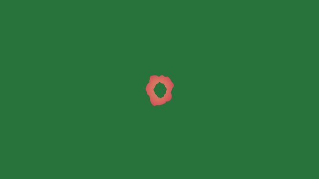 White border and red circle on screen it phone rose an orange flower letter o isolated on green screen background