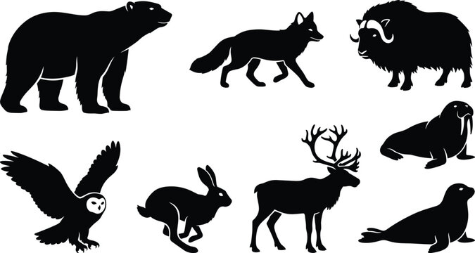 Arctic wildlife silhouette collection featuring polar bear fox musk ox walrus owl hare reindeer and seal vector set