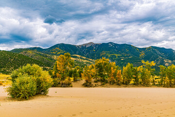 Orange and yellow autumn cottonwoods line the dune edge with Sangre de Cristo peaks behind under dramatic clouds, Great Sand Dunes NP, Colorado. © ZL Visuals