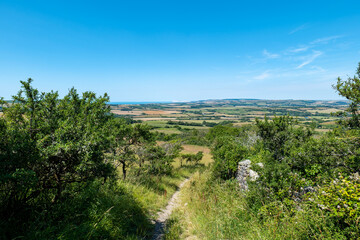 Fototapeta premium English Countryside