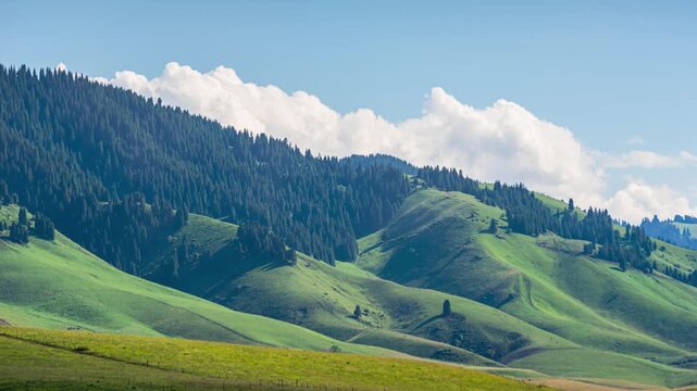 Aerial Time Lapse of Forest, Mountains, Pasture, and Grassland in Yili, Xinjiang, China