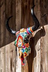 Yak skull mounted on weathered wooden board, western Sichuan plateau Tibetan folk ornament under blue sky
