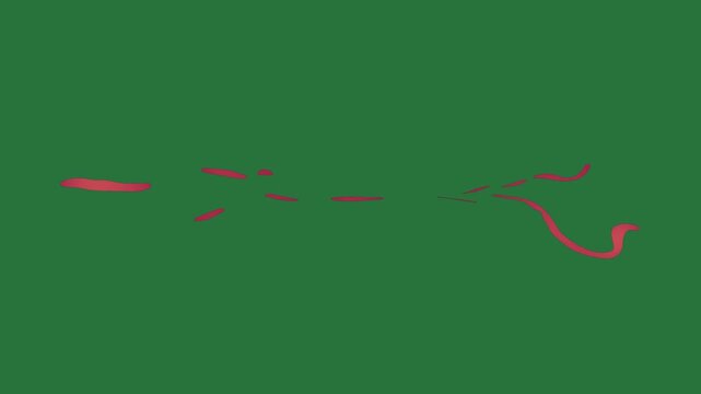 White border and silhouette of man diving group birds flying in the sky bird over screen red line two isolated on green screen background
