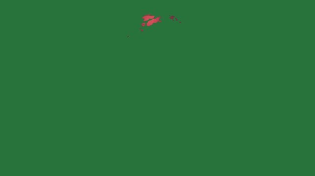 White border and fish is swimming in the water screen red arrow pointing to left picture of snake on an image bird it map new zealand isolated on green screen background