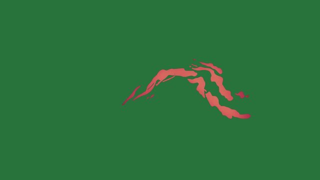 White border and map of new zealand screen picture man diving red bird flying in the sky arrow silhouette heart fire isolated on green screen background