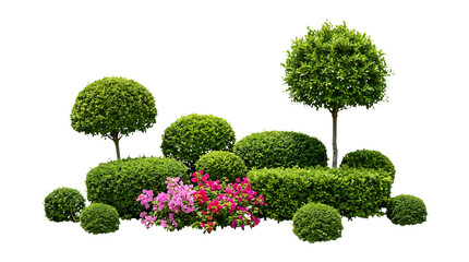 Fototapeta premium Topiary trees and manicured green garden bushes with pink flowers isolated on transparent background