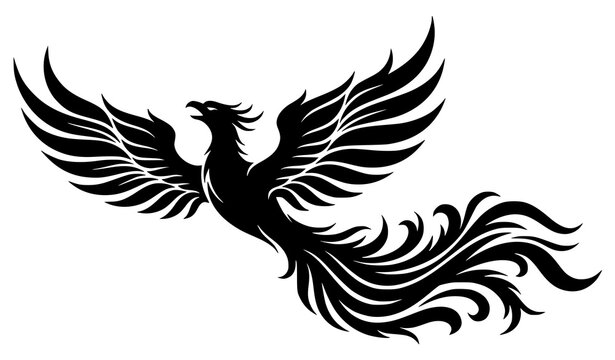 Elegant Phoenix Bird Silhouette with Spread Wings Mythical Firebird Tattoo Style Vector Illustration Design