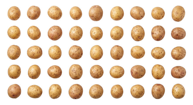 Large grid pattern of raw whole potatoes isolated PNG on white background with vegetable PNG on white background