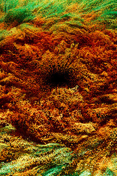 Organic Particle Flow Abstract Texture