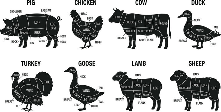 Butcher cuts chart collection diagram black silhouettes featuring meat parts for pig cow chicken duck turkey goose lamb sheep vector