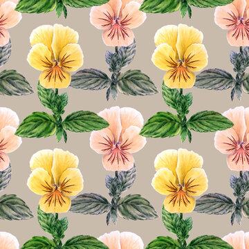 Seamless pattern with Pansies. Colored pencils drawing on paper. Vibrant plant with green leaves.  Detailed botanical illustration. Close-up summer flowers. Realistic drawing. Not AI generated.