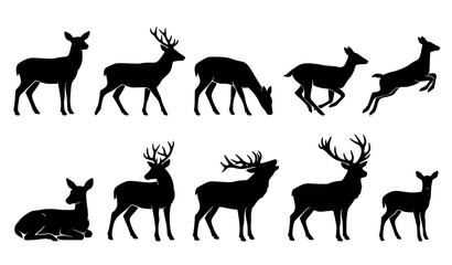 Deer Silhouette Collection Vector Set with Stag Doe Fawn Wildlife Forest Animal Poses © Madhobe
