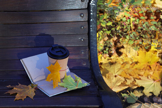 Cup of coffee with lid. Autumn Park. Glass of coffee is on a park bench. Hot drink. Place to copy