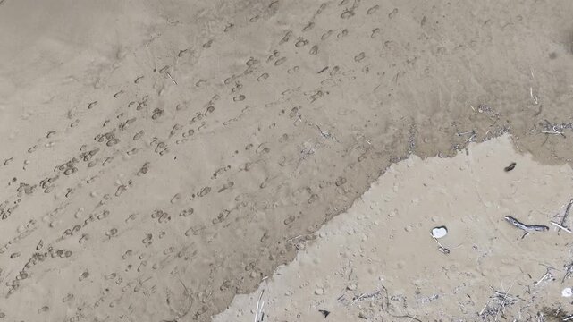 Kontogialos Beach, Pelekas, Corfu, Ionian Islands, Greece. Top down aerial drone footage of sandy beach texture with human footprints, shoe prints and animal paw prints on a sunny day.