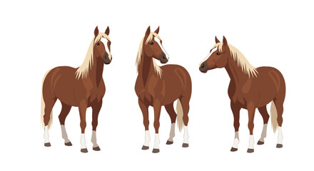 Three majestic brown horses with white manes and markings standing in different directions in a simple flat style. © Mim