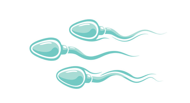 Illustration of three sperm cells swimming on a clean white background, symbolizing fertilization and human reproduction.